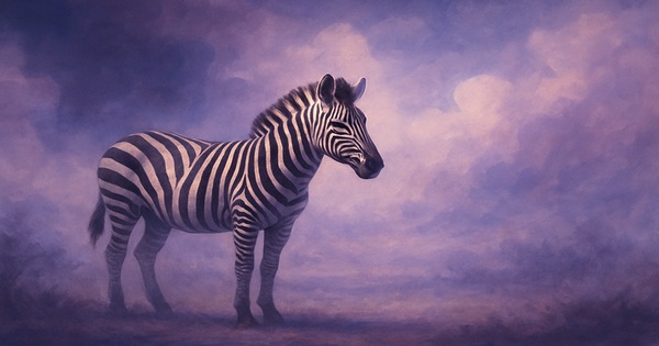 rüyada zebra görmek