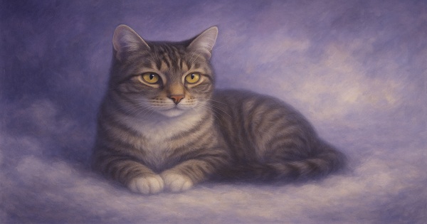 ruyada_kedi_gormek rüyada kedi görmek