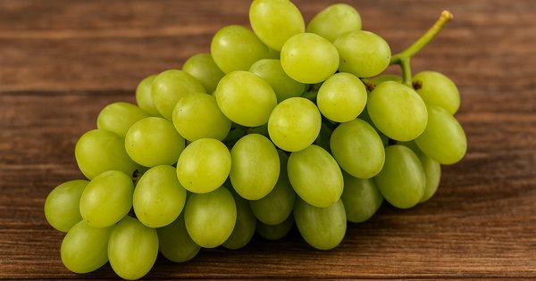 rüyada üzüm salkımı görmek