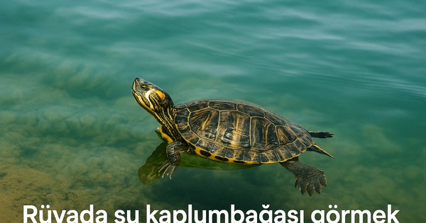 rüyada su kaplumbağası görmek